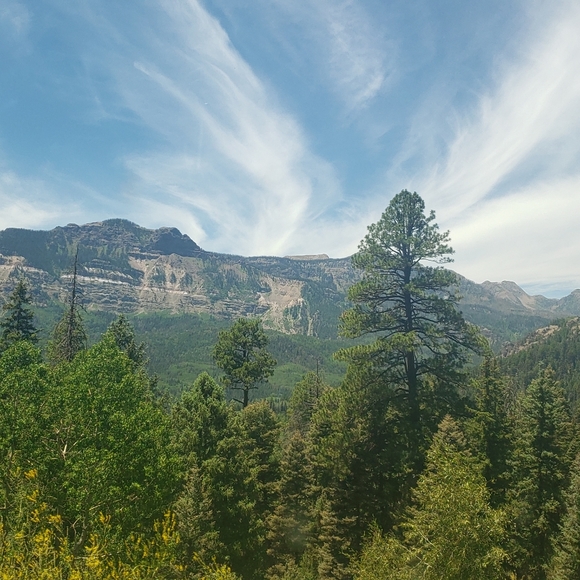 Meet your Posher, Crystal - Picture 13 of 16